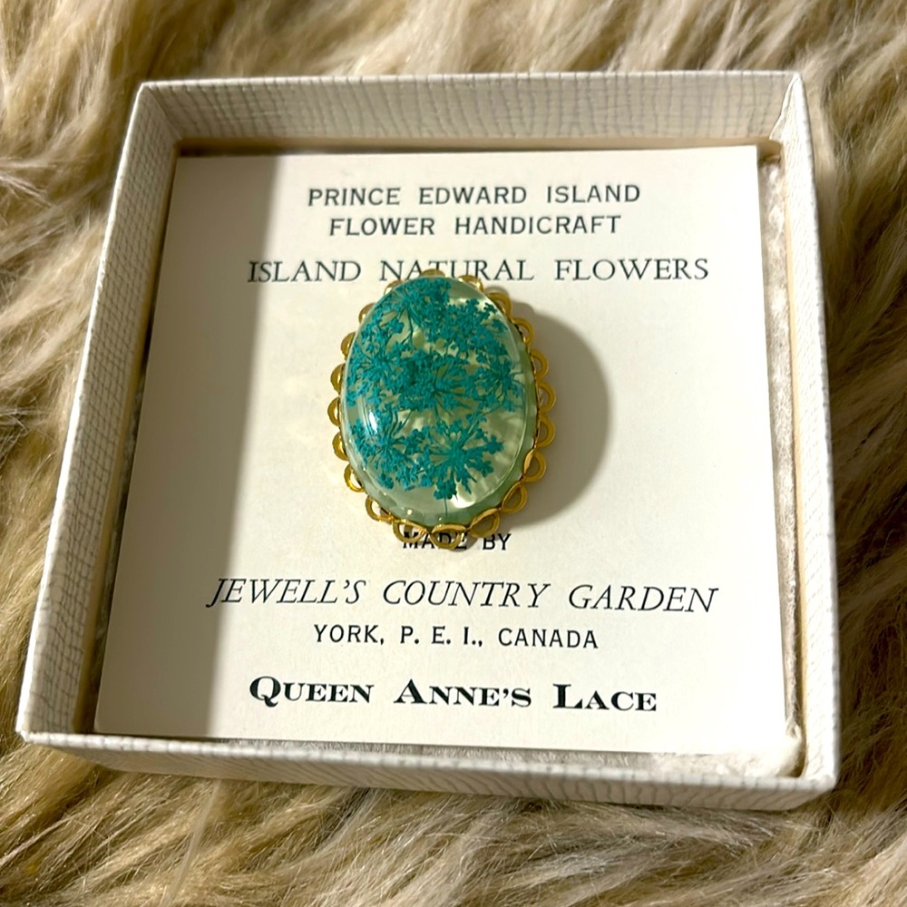 Queen Anne’s Lace flower pin. Collectible.